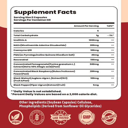 High Potency Urolithin A Supplement