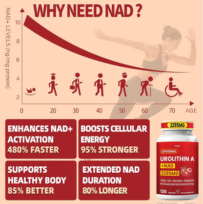 High Potency Urolithin A Supplement