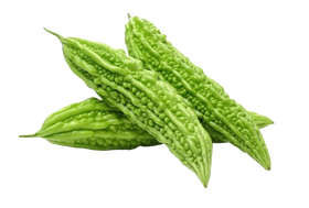 Bitter Melon